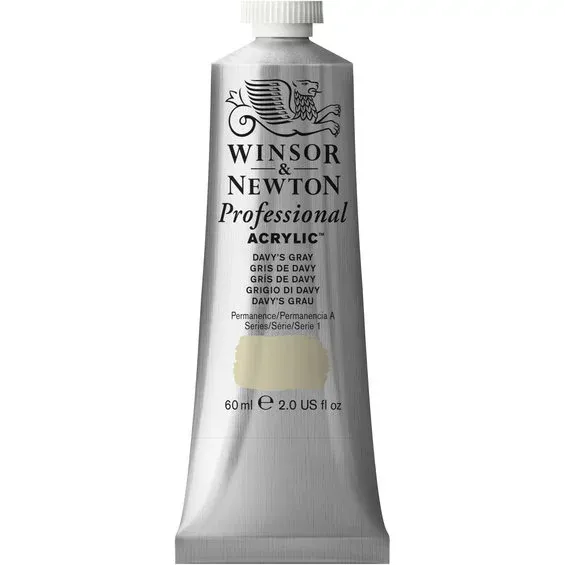 Winsor & Newton Professional akrylfärg 60 ml Davy's Gray 217 Fri frakt