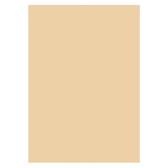 Folia A4 300g Beige 10 st I lager