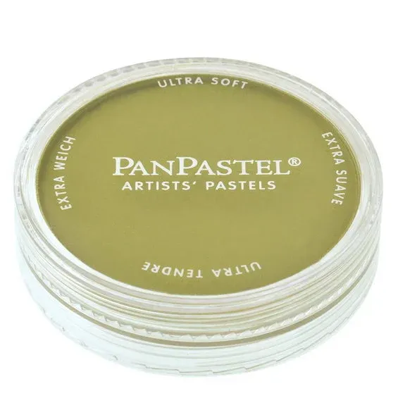 Populär PanPastel torrpastell på burk, Bright Yellow Green Shade 680.3